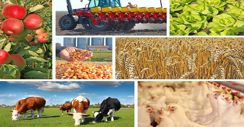Сельское хозяйство в Нижегородской области